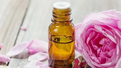 گلاب سنگین ممتاز با غلظت بالا و رایحه غنی گل های تازه